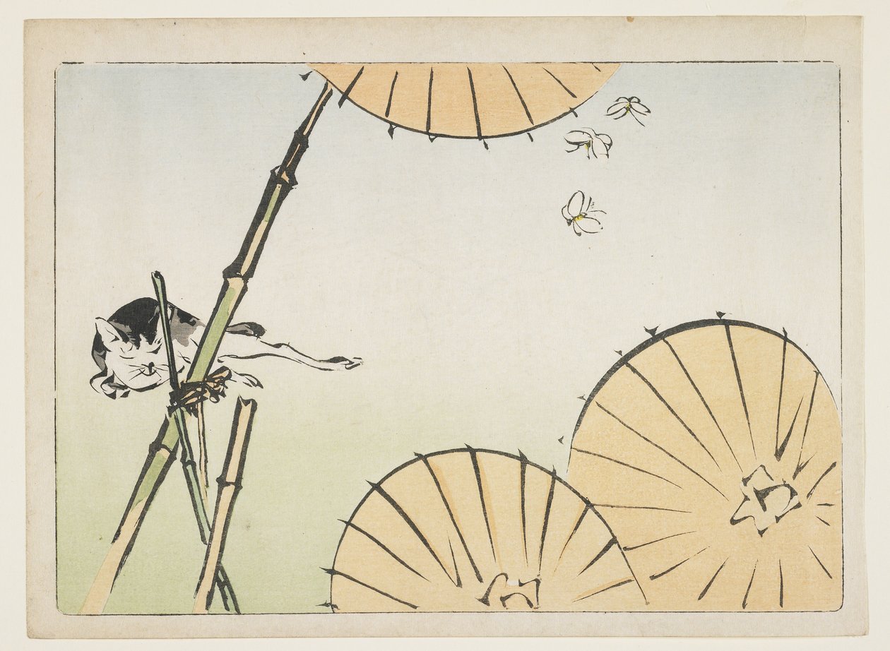 (Bambu, şemsiye, kedi ve kelebekler), c. 1877 by Shibata Zeshin