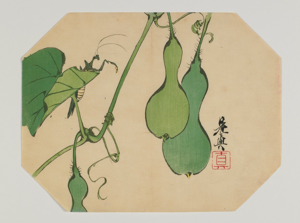Bir uchiwa için baskı, bir asma üzerinde peygamber devesi ile su kabakları, Meiji dönemi, 19. yüzyılın sonları (renkli tahta baskı) by Shibata Zeshin