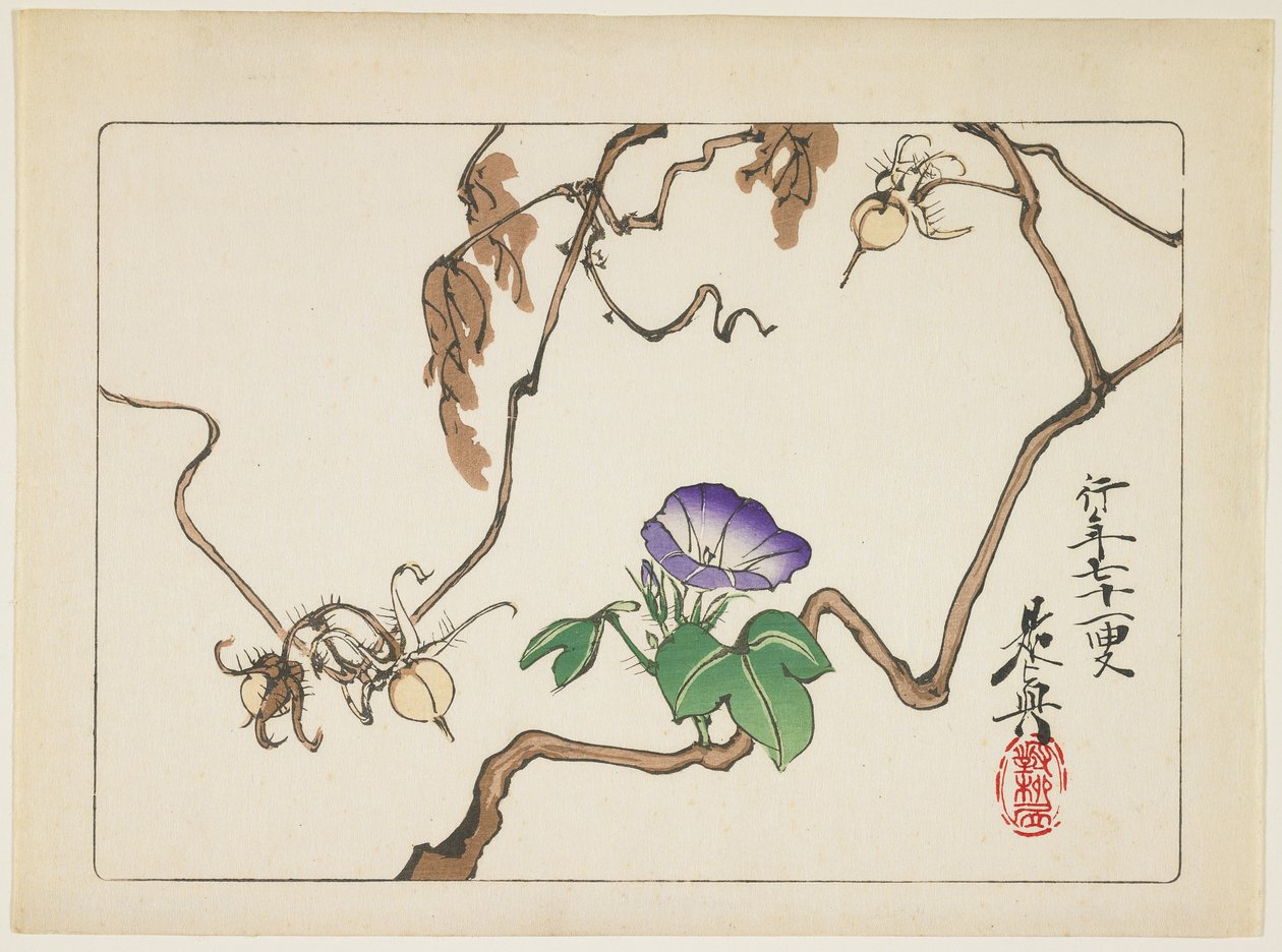 Sabah Zaferinin Asma ve Tohumları, 1877 by Shibata Zeshin