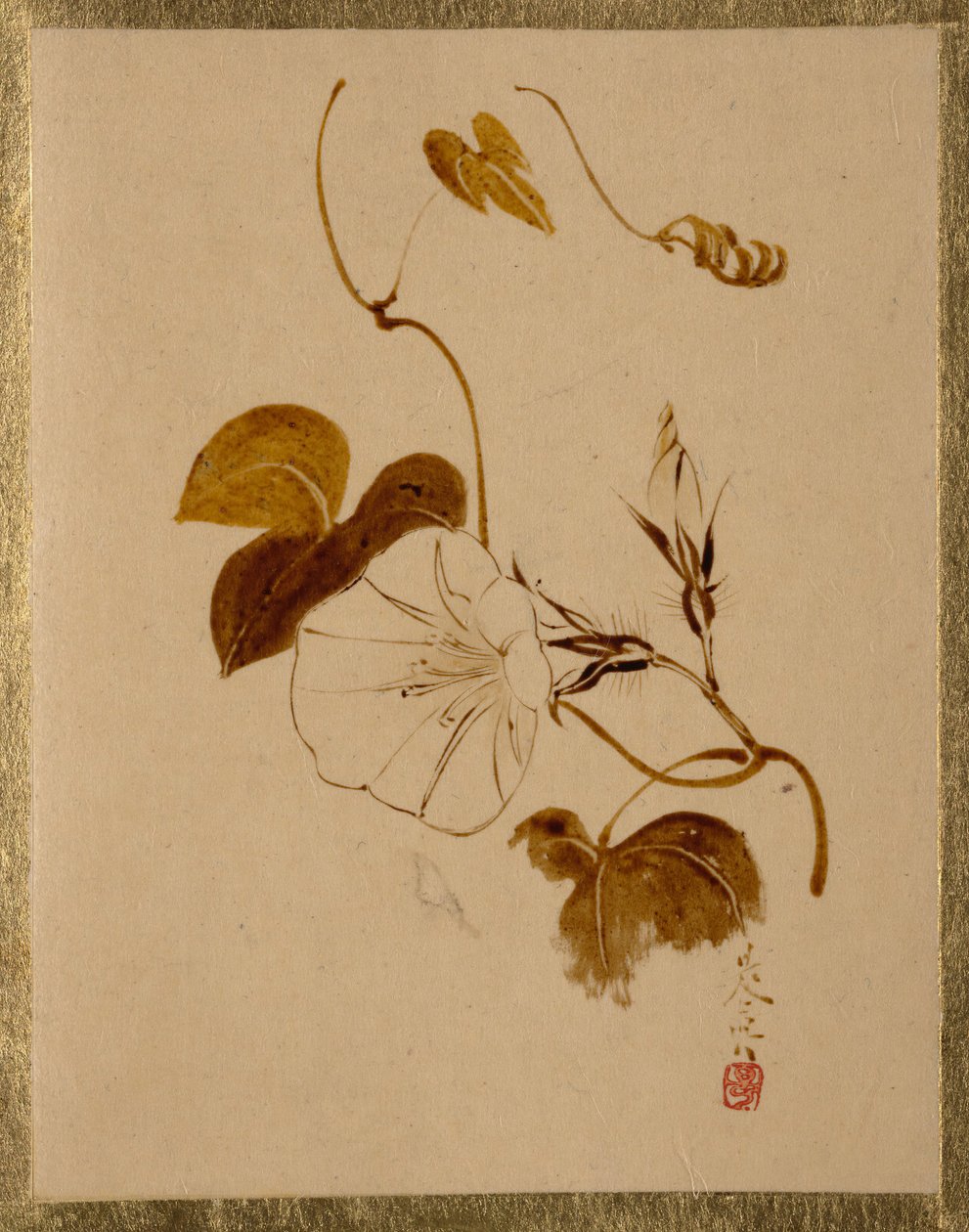 Gündüzsefası. by Shibata Zeshin