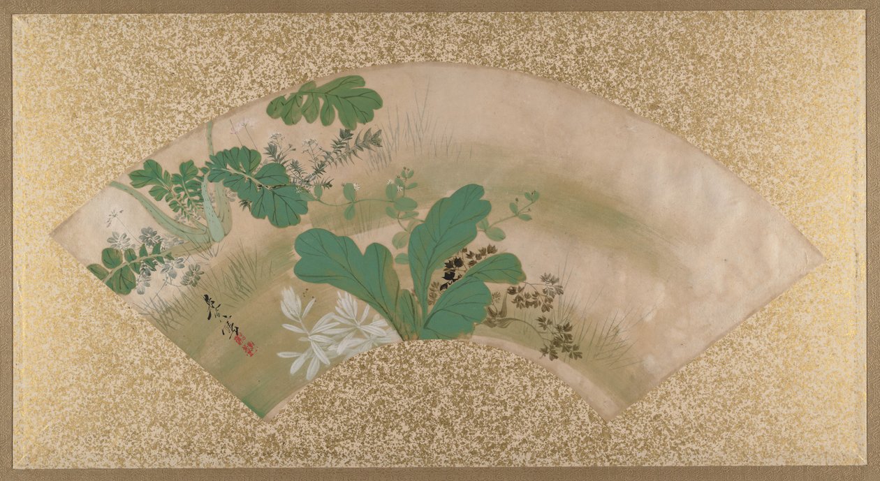 Çeşitli Bitkiler ve Otlar, 19. yüzyıl sonu. by Shibata Zeshin