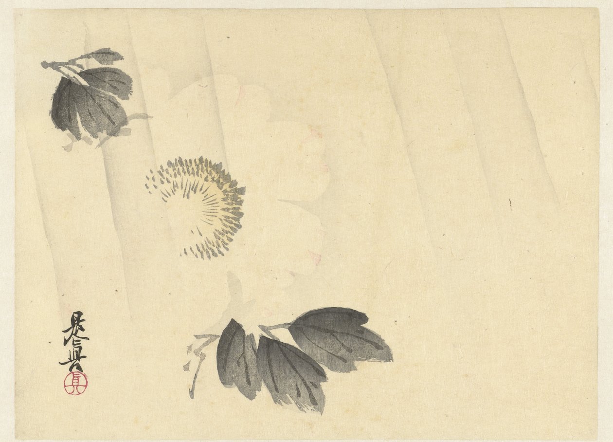 Yağmurda beyaz şakayık by Shibata Zeshin