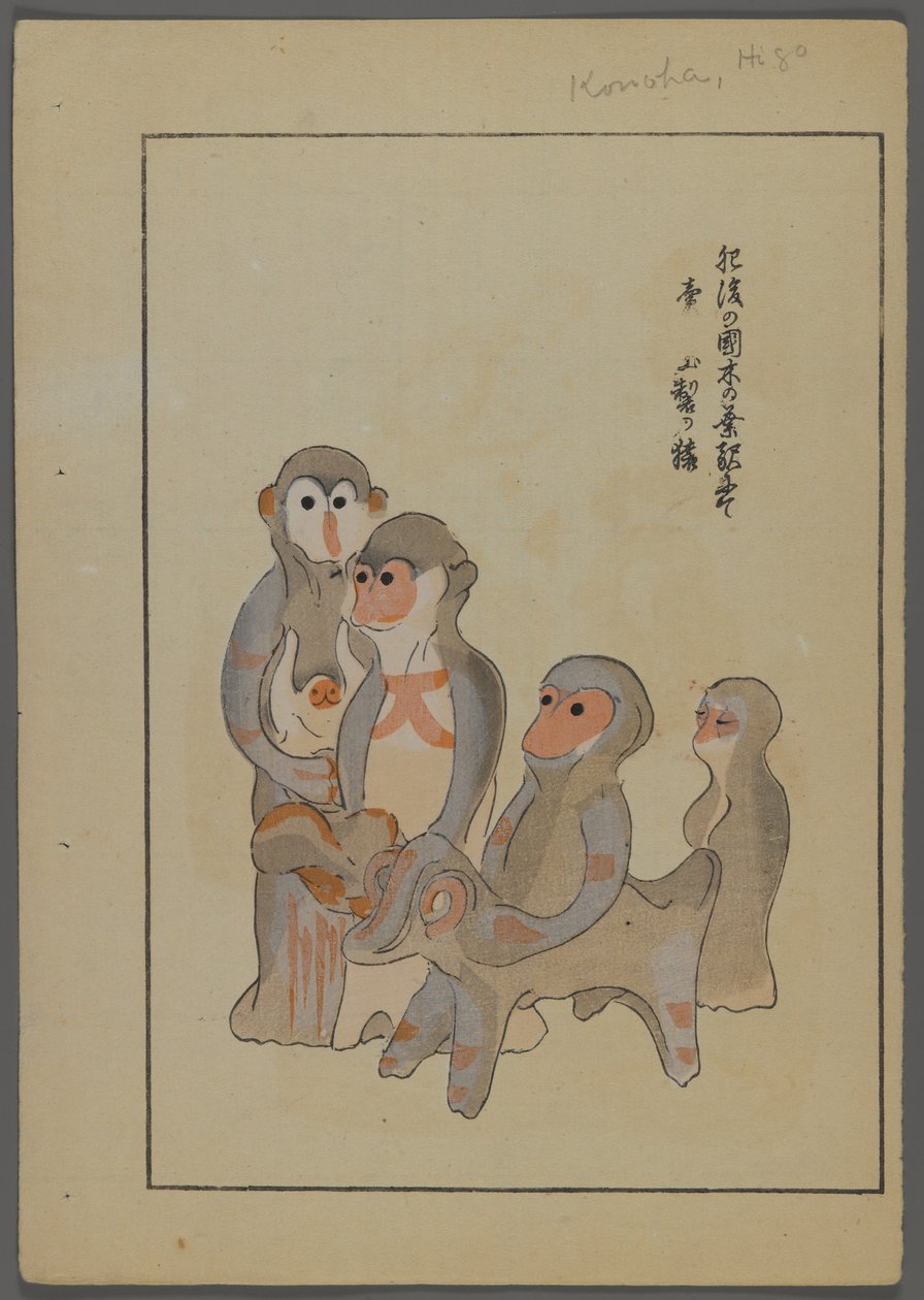 Shimizu Seifu