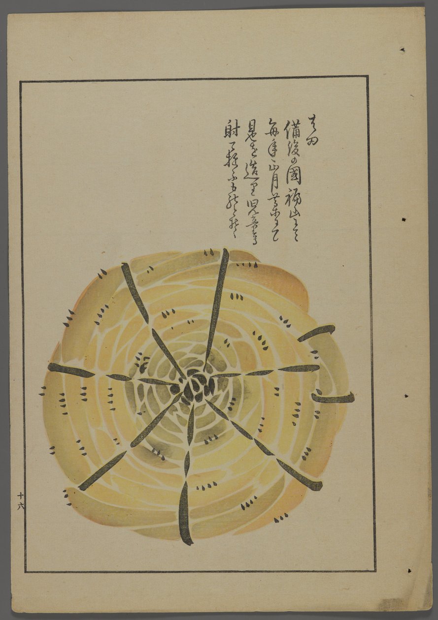 Shimizu Seifu