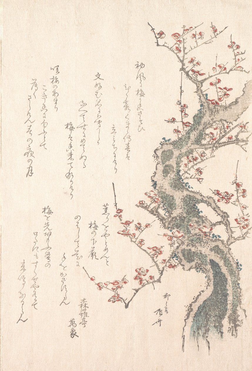 Spring Rain Koleksiyonu Harusame shu, vol. 1: Bloom