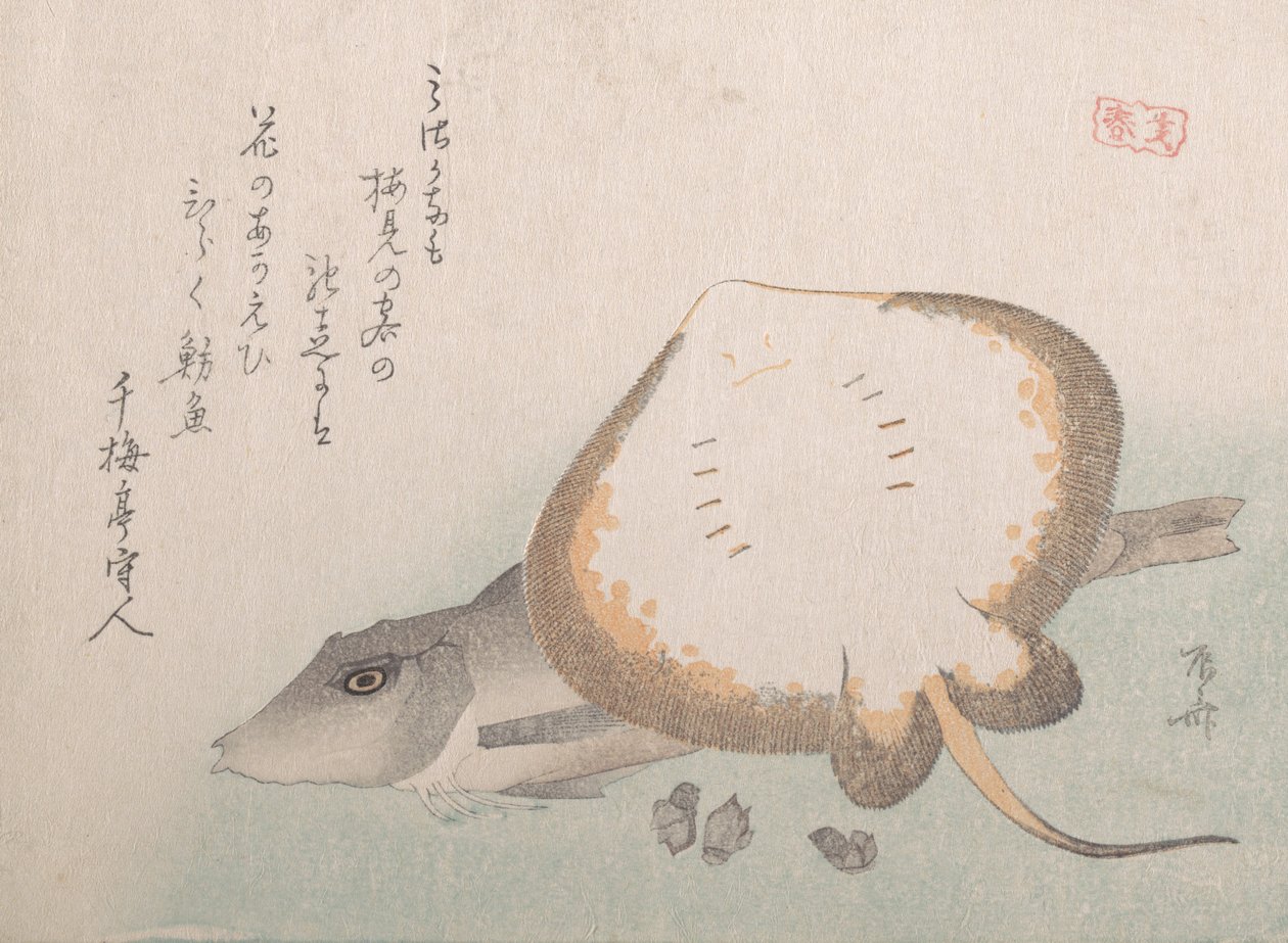 Stingray ve Gurnard, muhtemelen 1815., muhtemelen 1815. by Shinsai