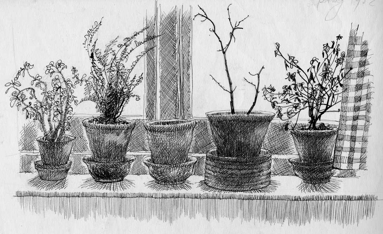 Pencere kenarındaki ölü bitkiler, 1952. by Shirley Markham
