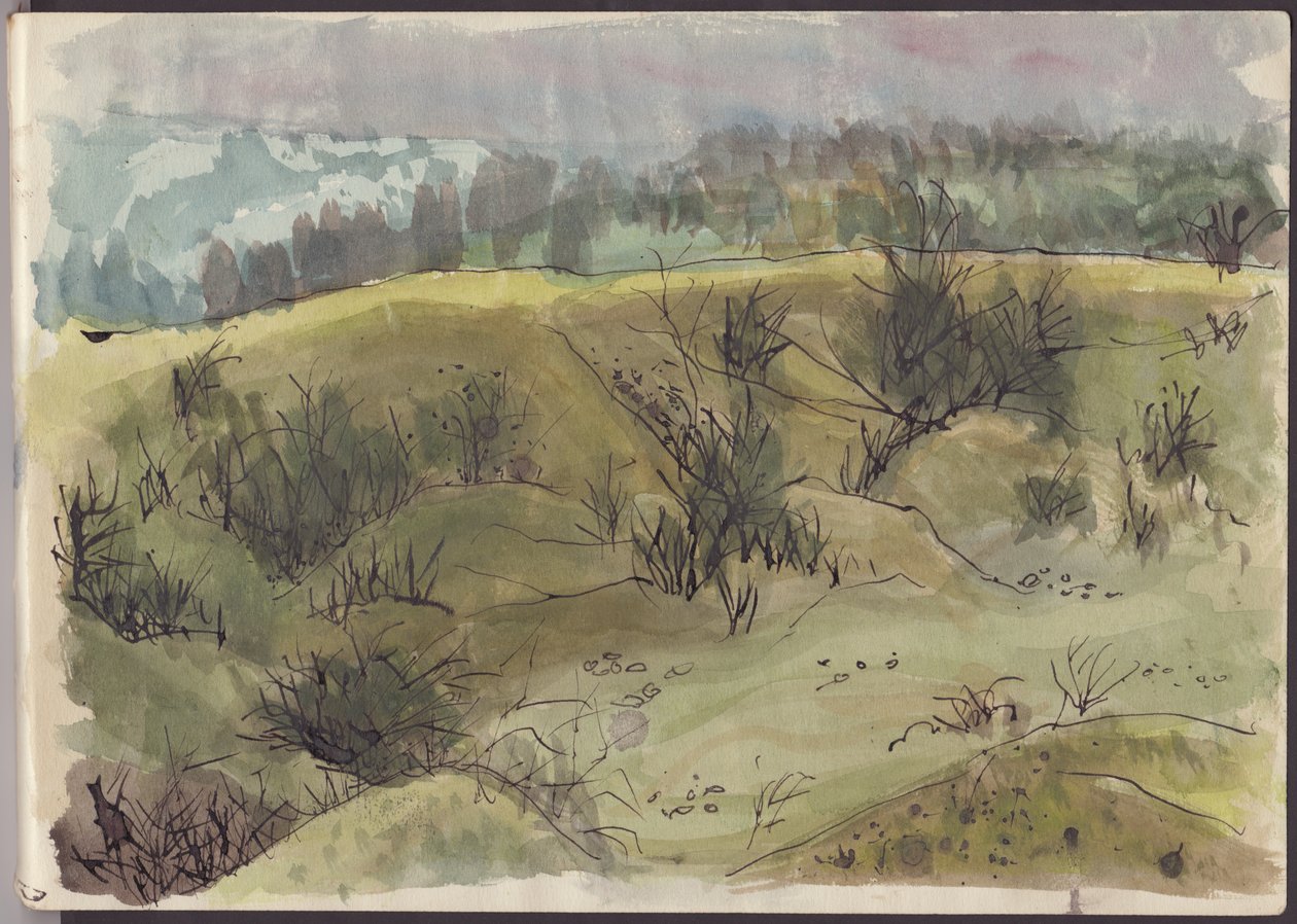 Çalılarla dolu bir manzara, İtalya, c1950. by Shirley Markham