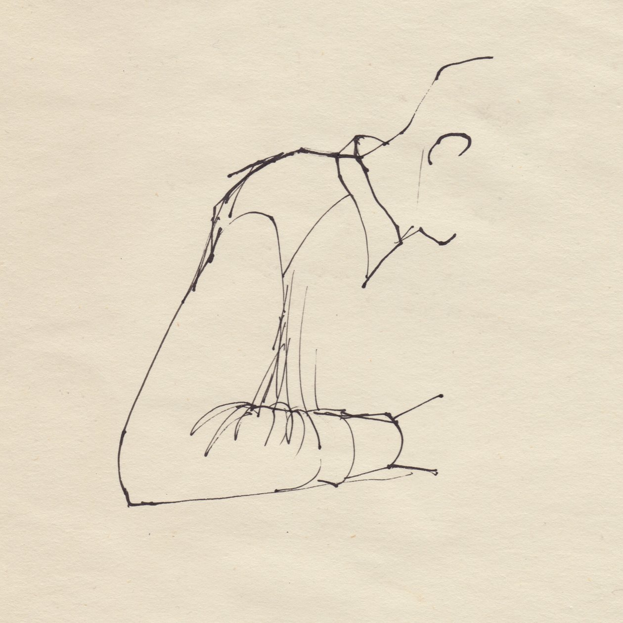 Adamın kolu, c1950. by Shirley Markham