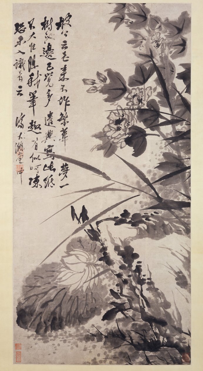 Hibiscus, Lotus ve Rock, ca. 1705-7. by Shitao