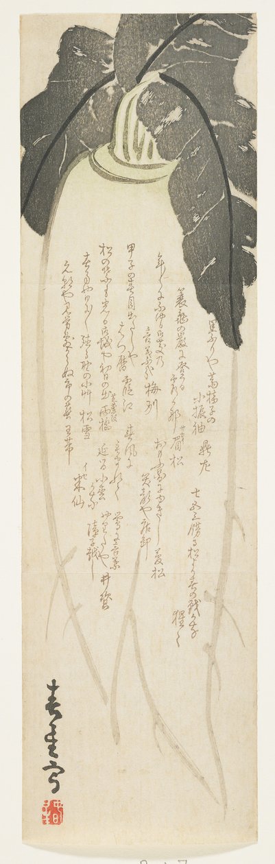 Daikon turp, Ocak 1864 (renkli tahta baskı) by Shunsei