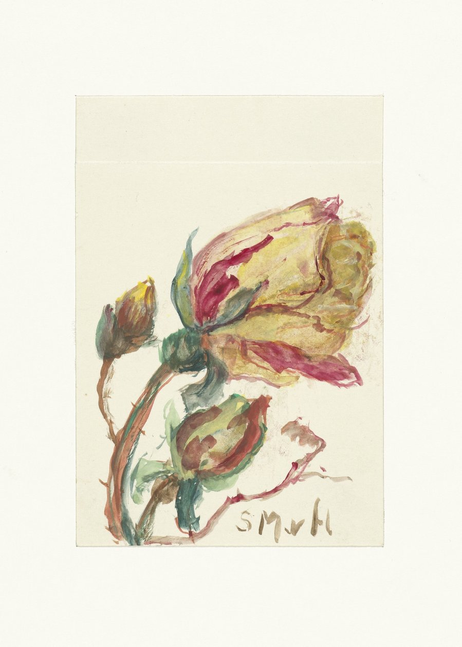 Roos by Sientje Mesdag van Houten