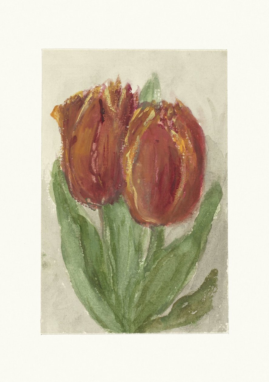 iki kırmızı lale by Sientje Mesdag van Houten