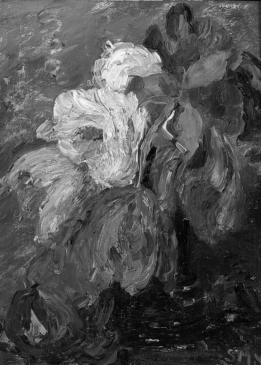 Vazoda Laleler by Sientje Mesgad van Houten