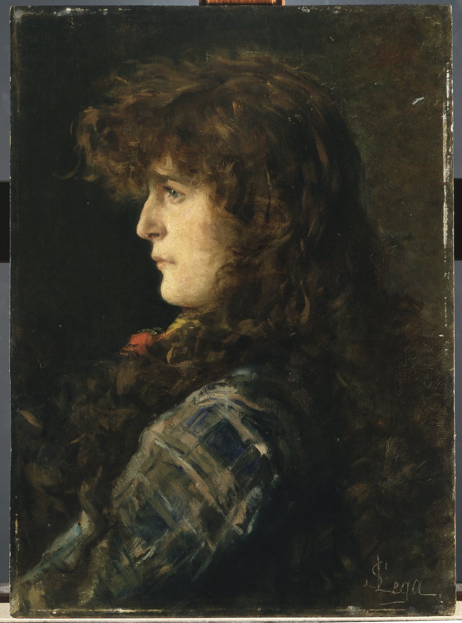 Kadın veya Gabbrigiana Başkanı by Silvestro Lega