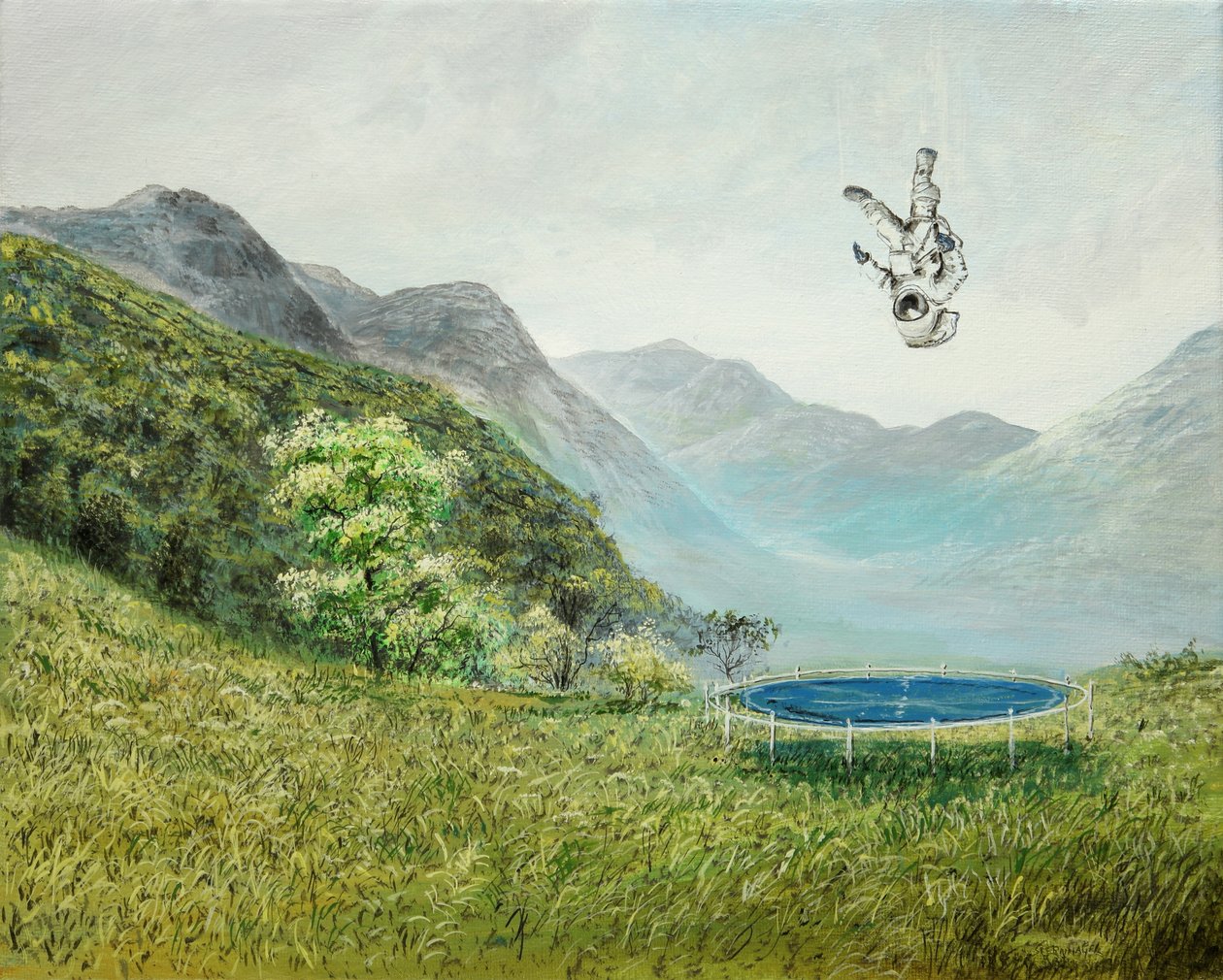 Sonraki adım by Silvian Sternhagel