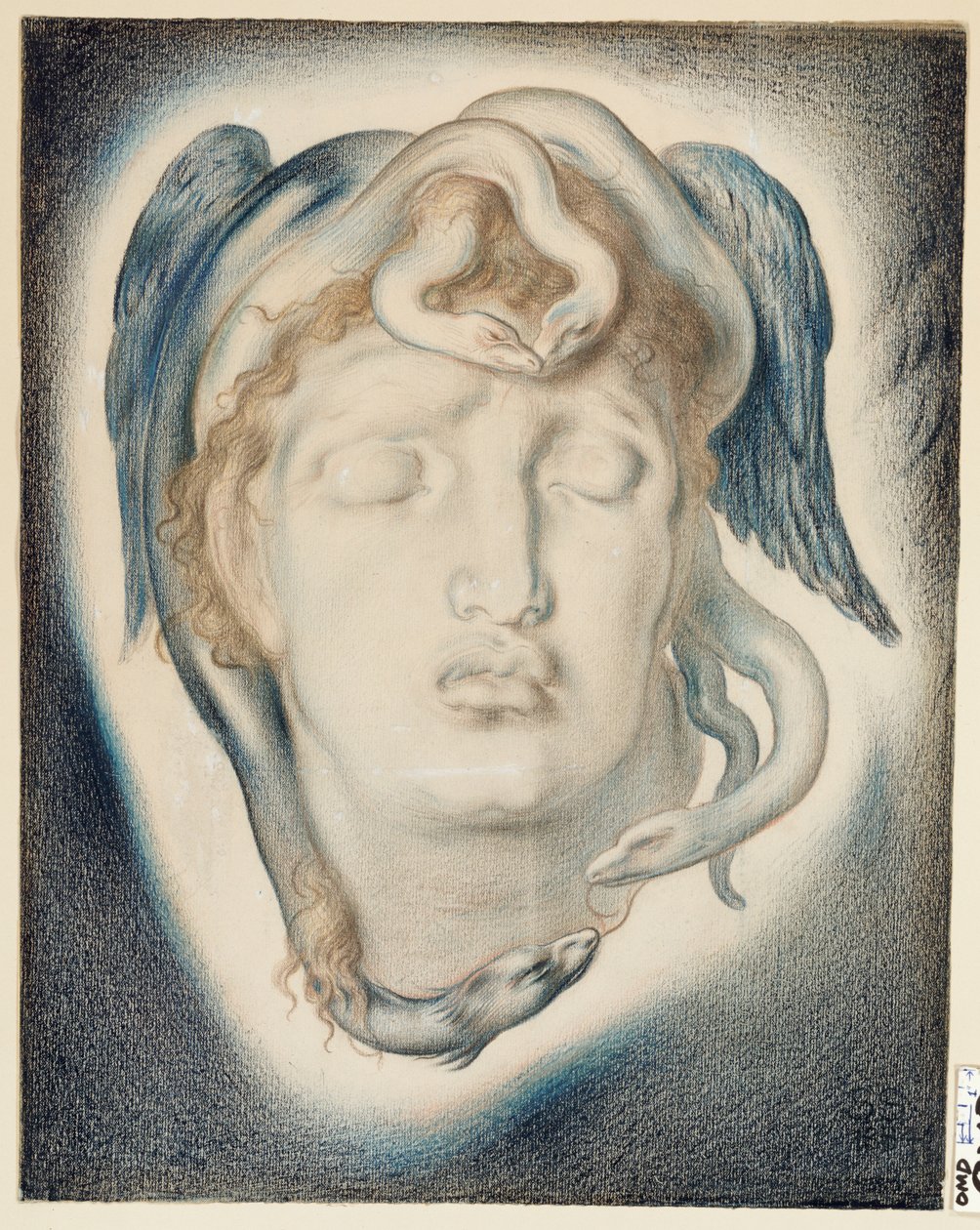 Medusa