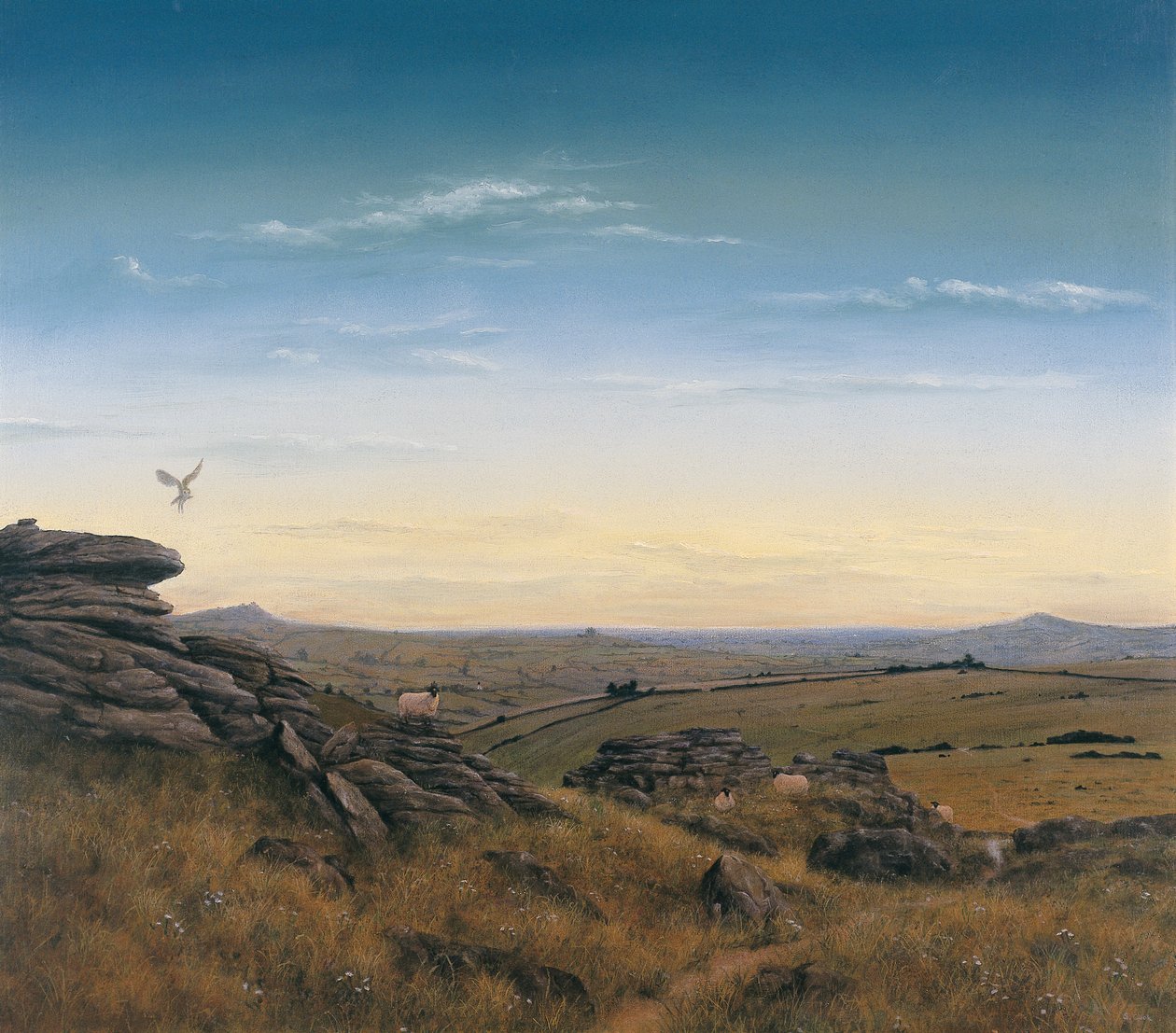 Akşam gökyüzü by Simon Cook