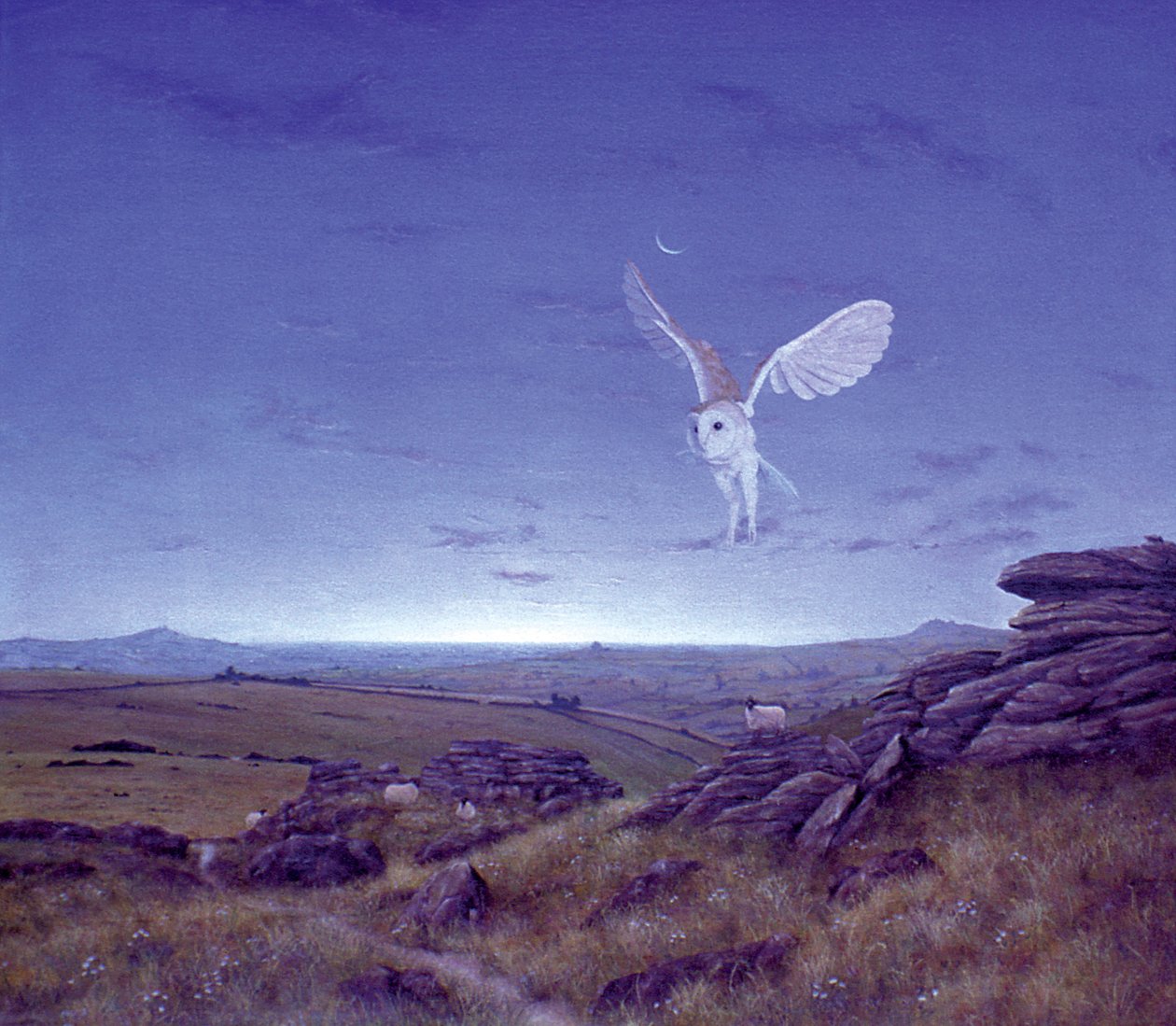 Moors by Simon Cook