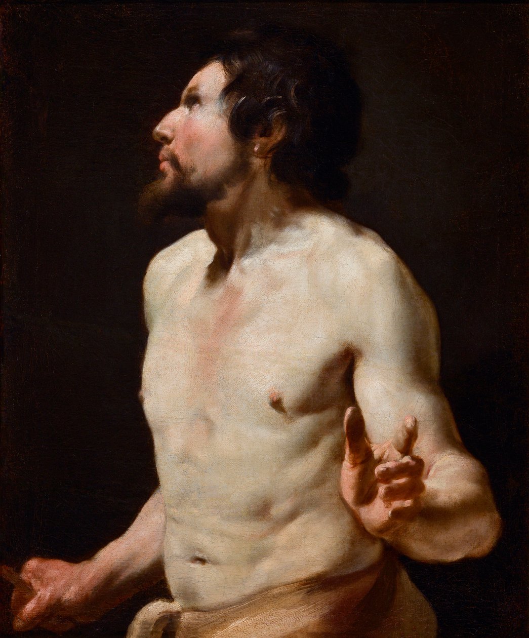 Simon Vouet (1590-1649) okulundan gövde resmi çalışması (resim) by Simon (circle of) Vouet