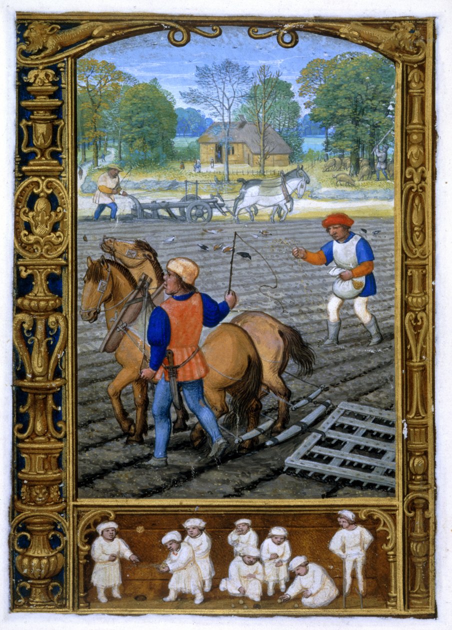 Ekle. 24098, f.26v Eylül: Bir Saatler Kitabından veya Golf Kitabından Çiftçilik ve Ekim, c.1520-30 (parşömen) by Simon (workshop of) Bening