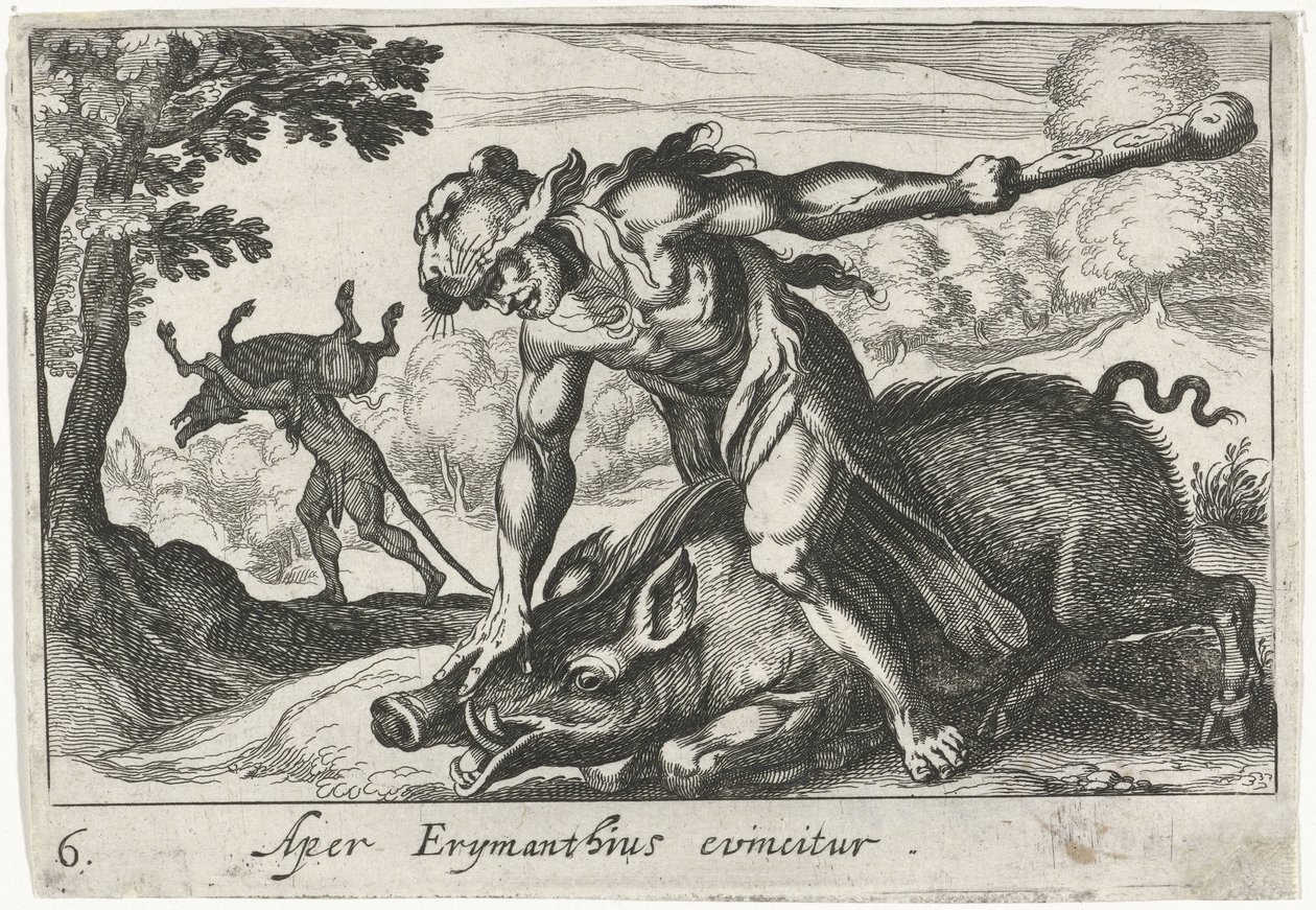 Herkül, Erymanthus