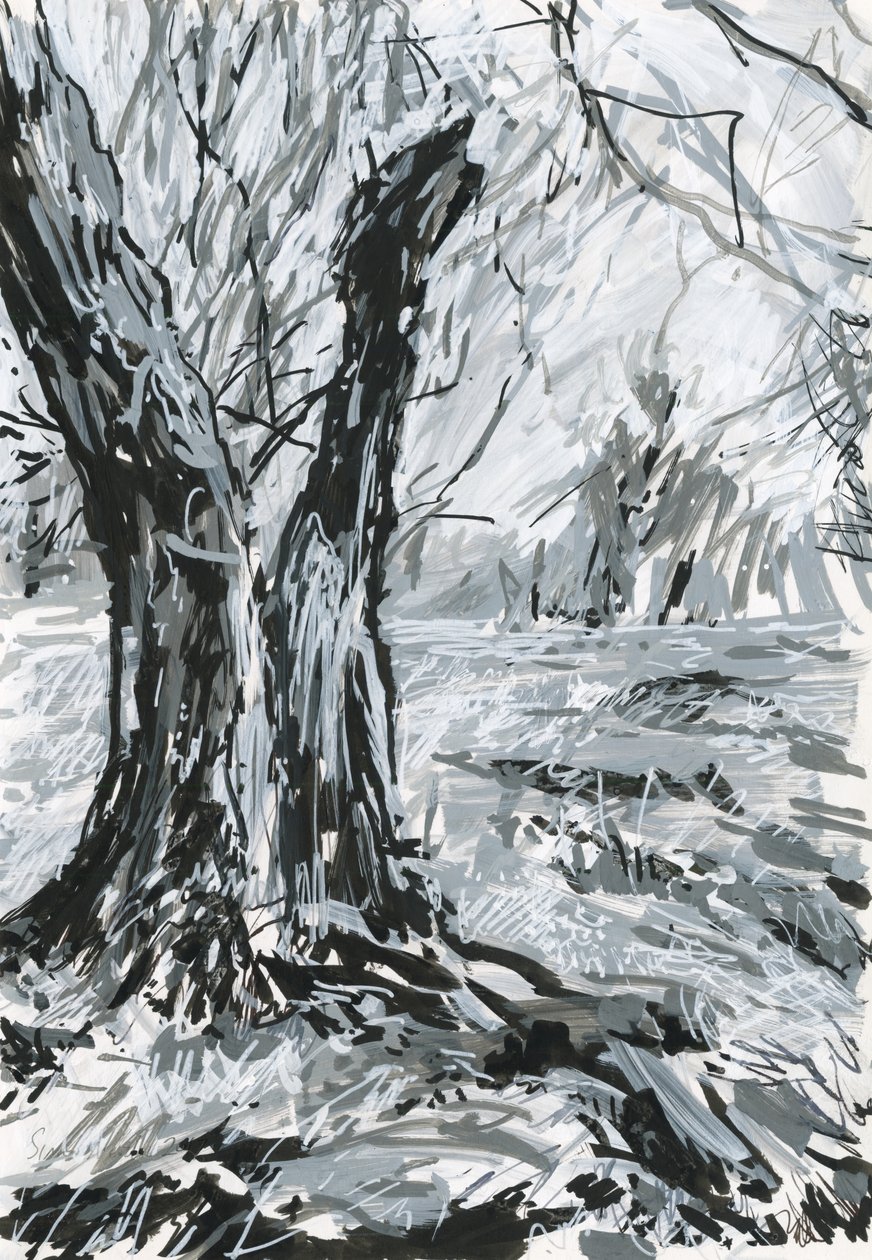 Yaşlı ağaç, Richmond Parkı (kağıt üzerine akrilik boya kalemleri ve mürekkep) by Simon Neville