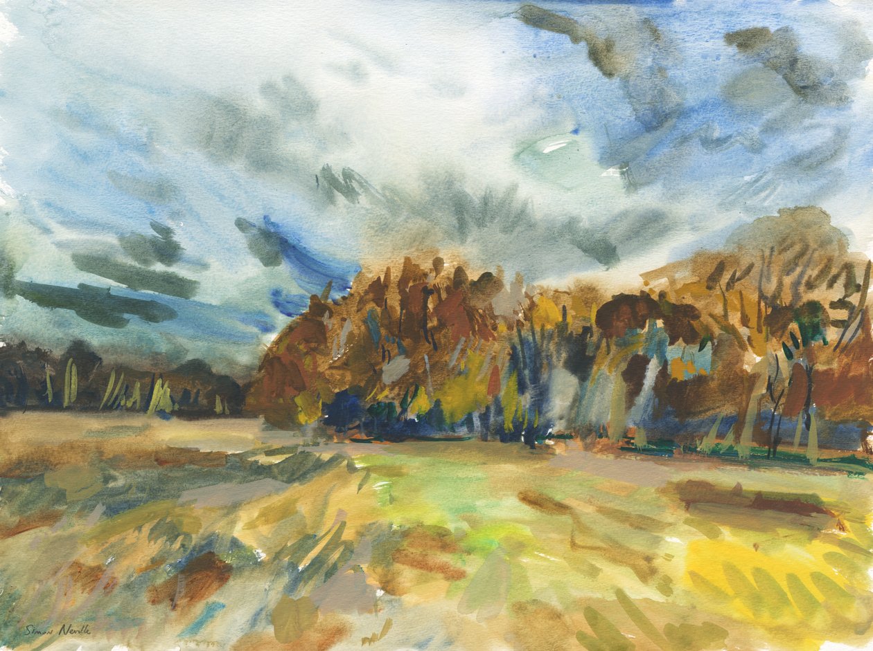 Richmond Park, 2018 (kağıt üzerine suluboya) by Simon Neville