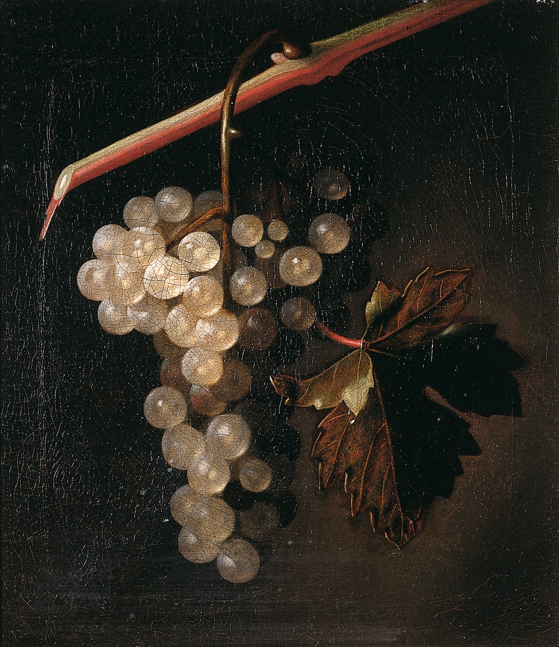 Taş Duvarın Önünde Sarkan Bir Salkım Üzüm, 1709 by Simon Peeterz Verelst