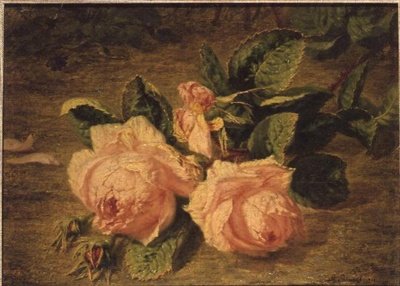 Pembe güller by Simon Saint Jean