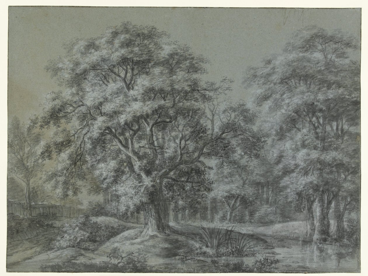 Bir su ile orman manzarası by Simon de Vlieger