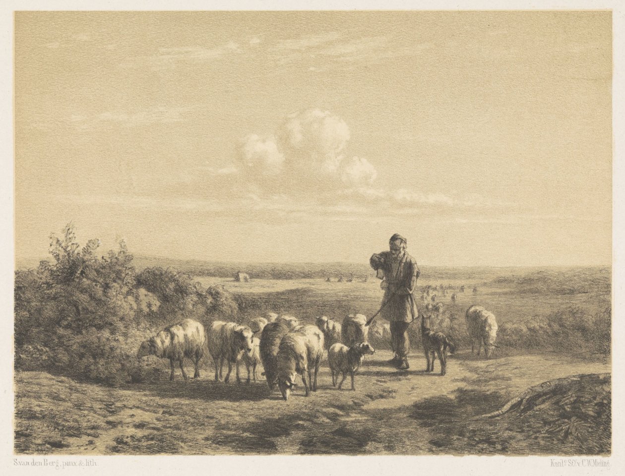 Bozkırda koyunlarıyla çoban by Simon van den Berg