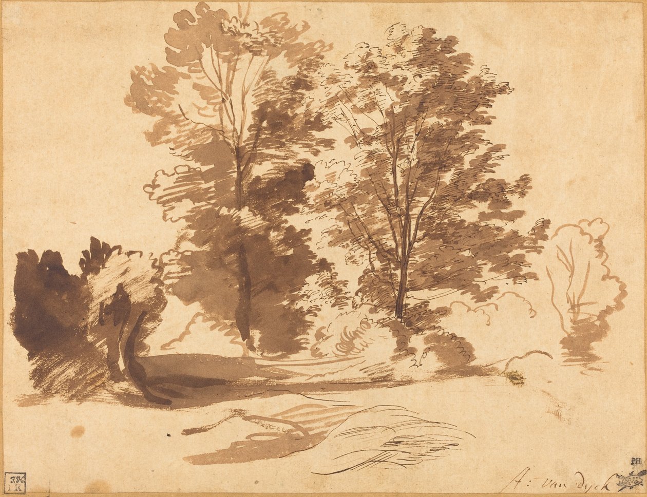 Bir Ağacın Kenarı by Sir Anthony van Dyck