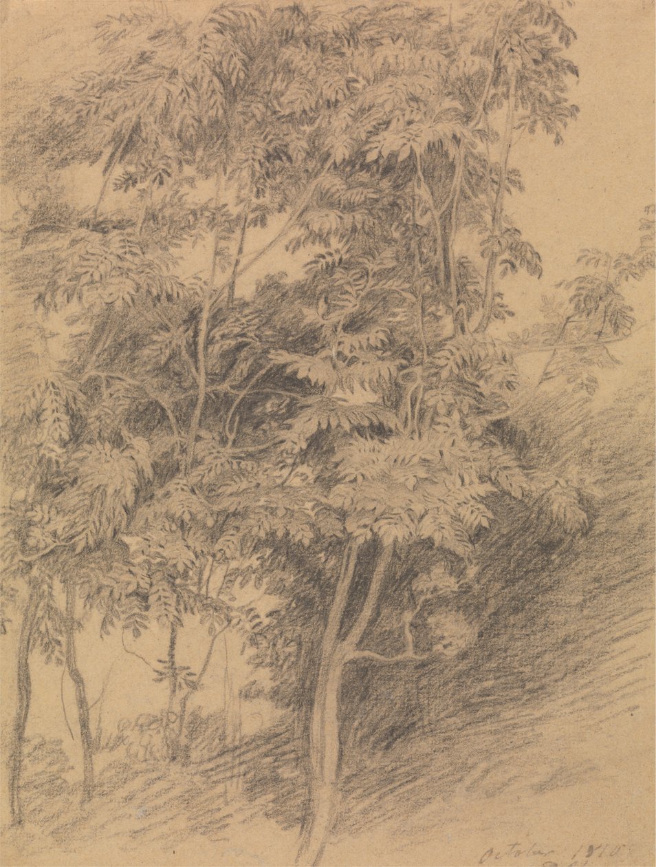 Ağaç Çalışması by Sir David Wilkie