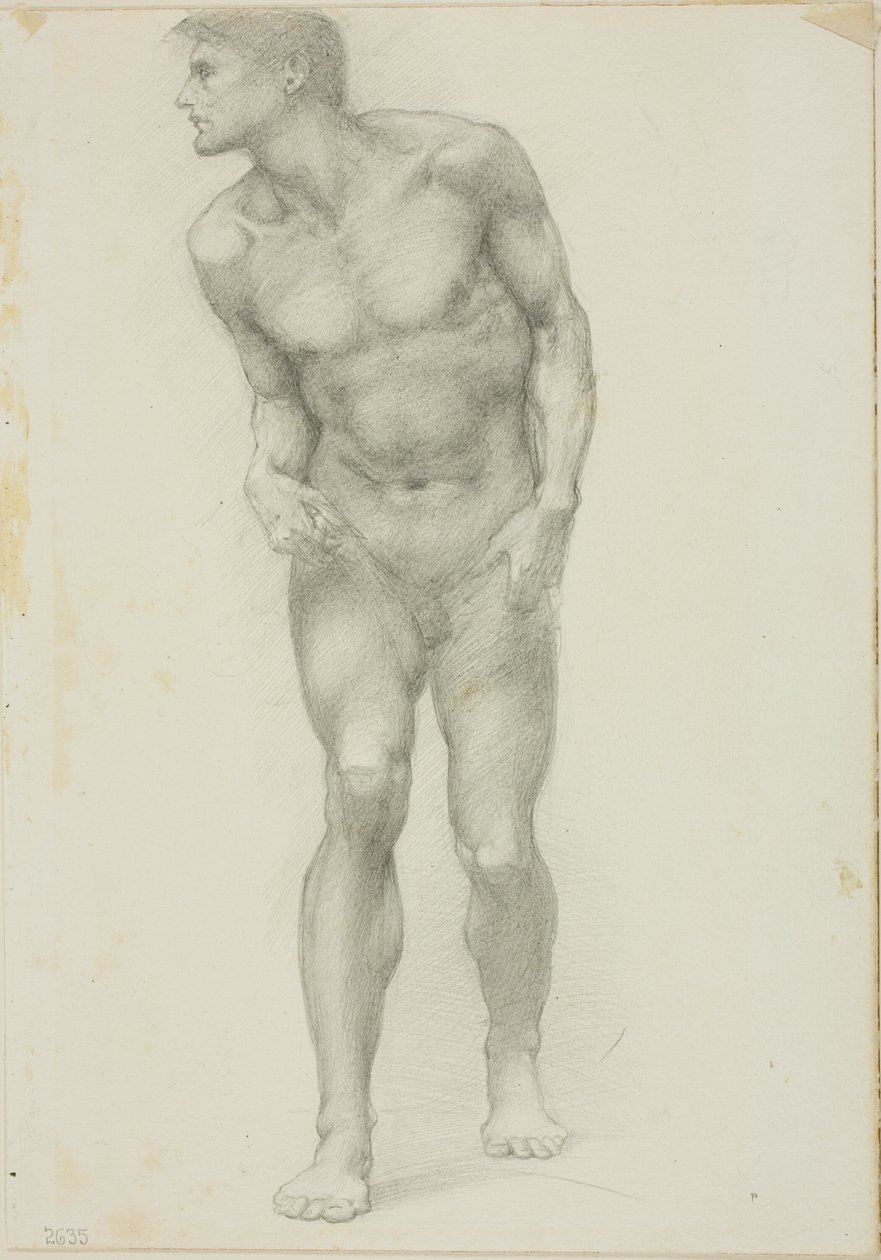 Profilde Yüzlü Çıplak Erkek Ayakta by Sir Edward Burne Jones