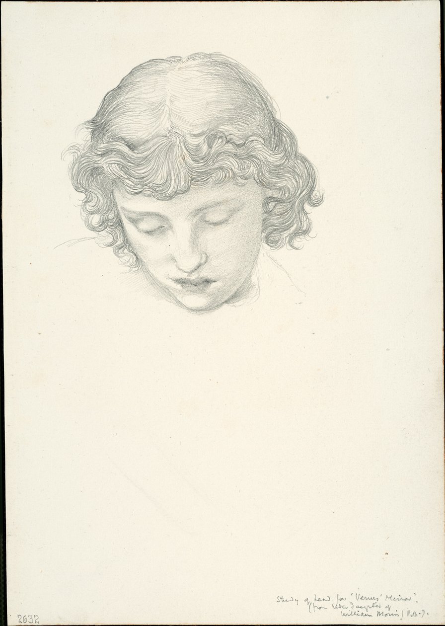 Venüs Aynası için Çalışma: Kafa by Sir Edward Burne Jones