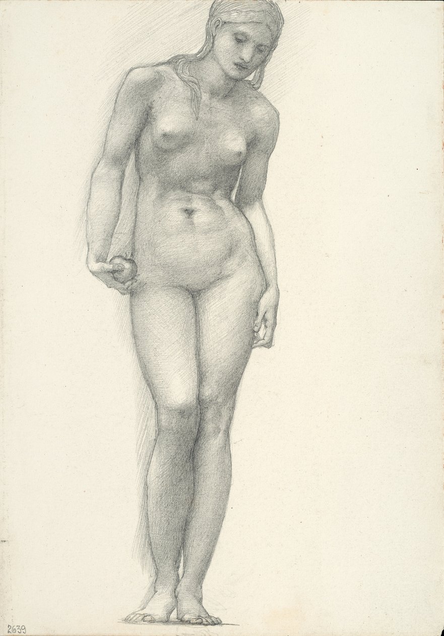 Sağ Elinde Altın Elmalı Venüs, Truva Üçlüsü için (sketchbook #2639) by Sir Edward Burne Jones