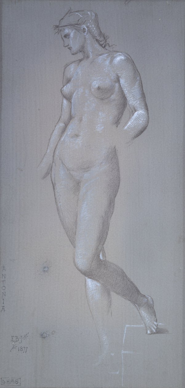 Antonia, 1877 by Sir Edward Coley Burne Jones
