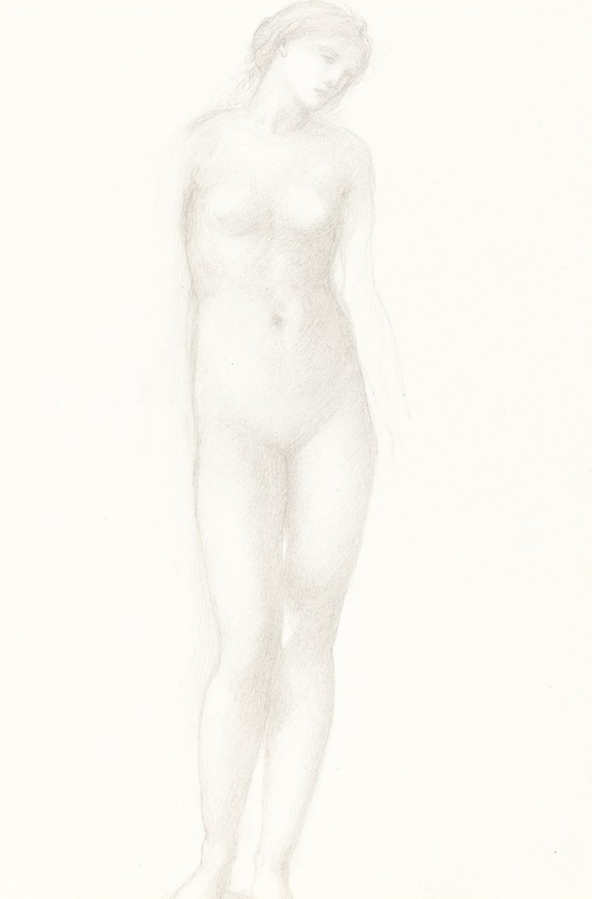 Venüs by Sir Edward Coley Burne Jones