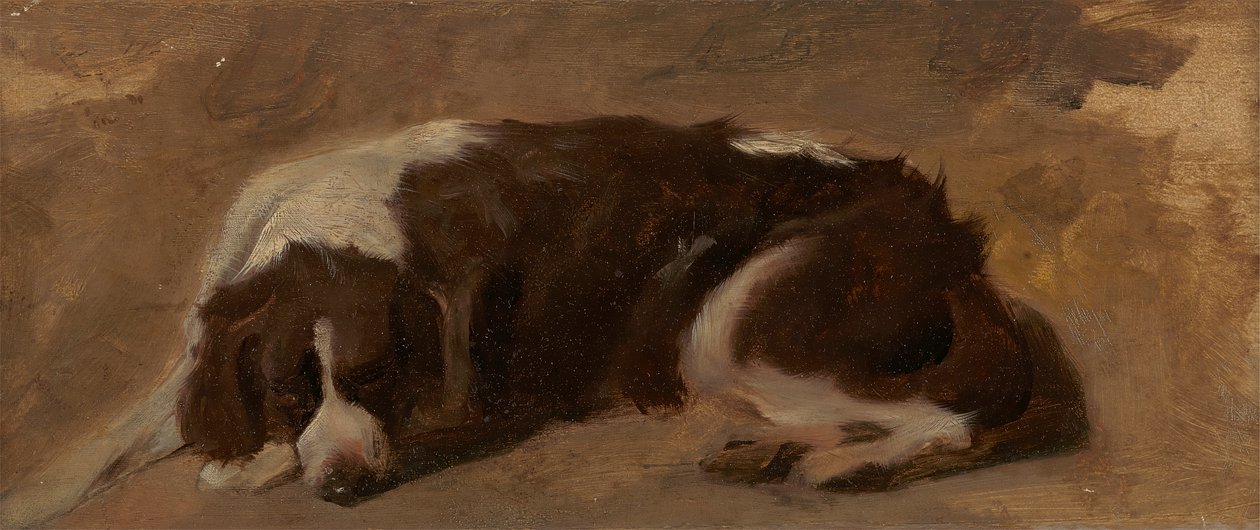 uzanmış bir İspanyol by Sir Edwin Henry Landseer