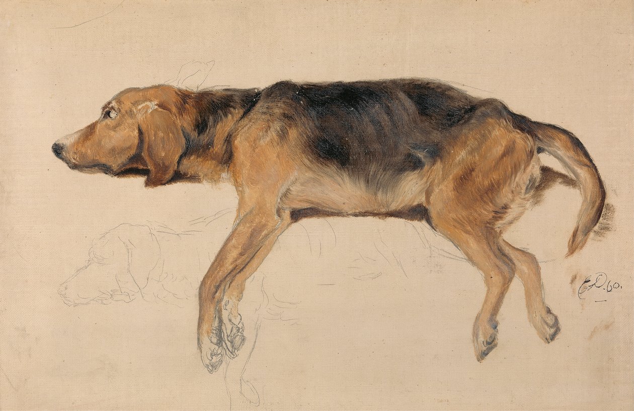 Uzanmış Bir Köpek Çalışması by Sir Edwin Henry Landseer