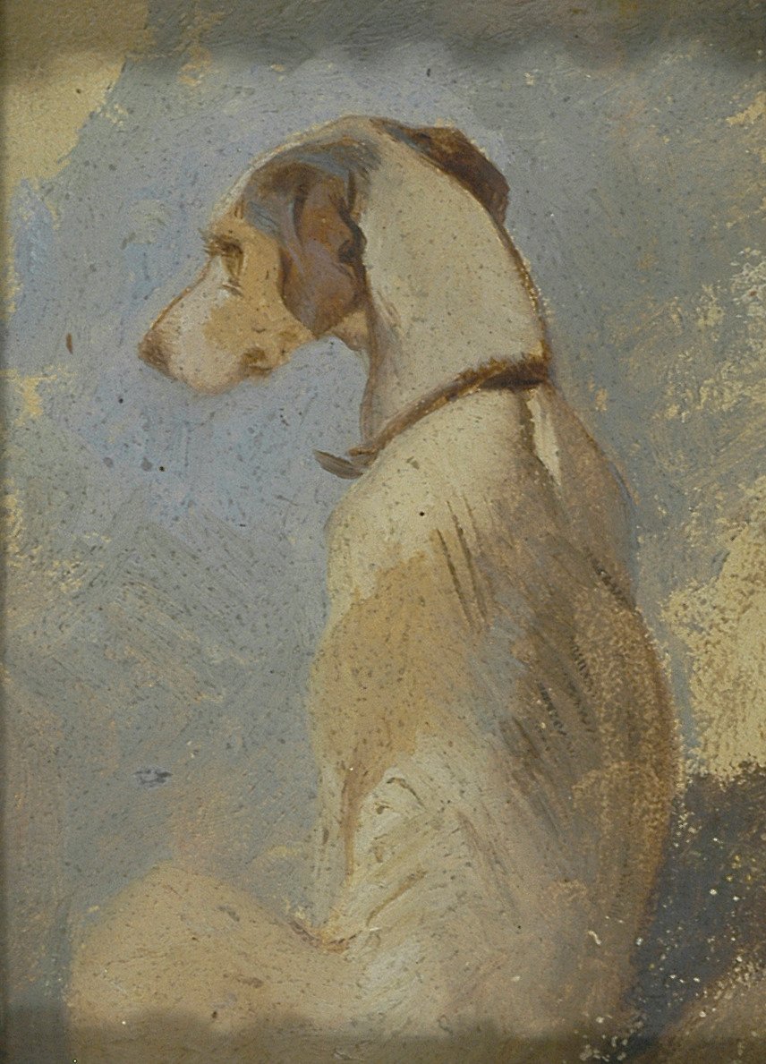 Bir Tazı Çalışması by Sir Edwin Henry Landseer