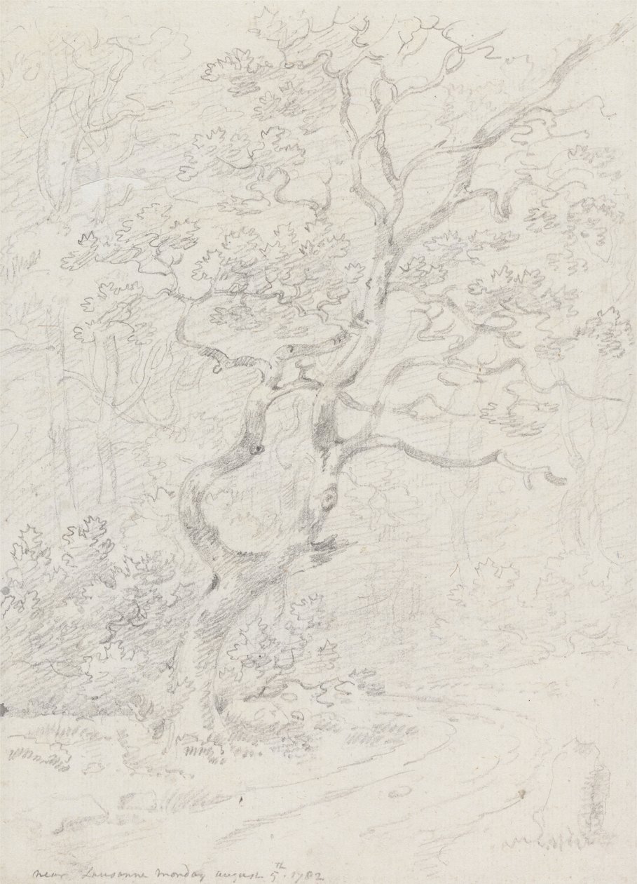 Ağaçlar, Yakın Lozan by Sir George Howland Beaumont seventh Baronet