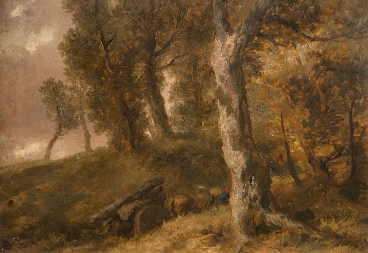 Ağaçların İncelenmesi, 1874. by Sir John Gilbert