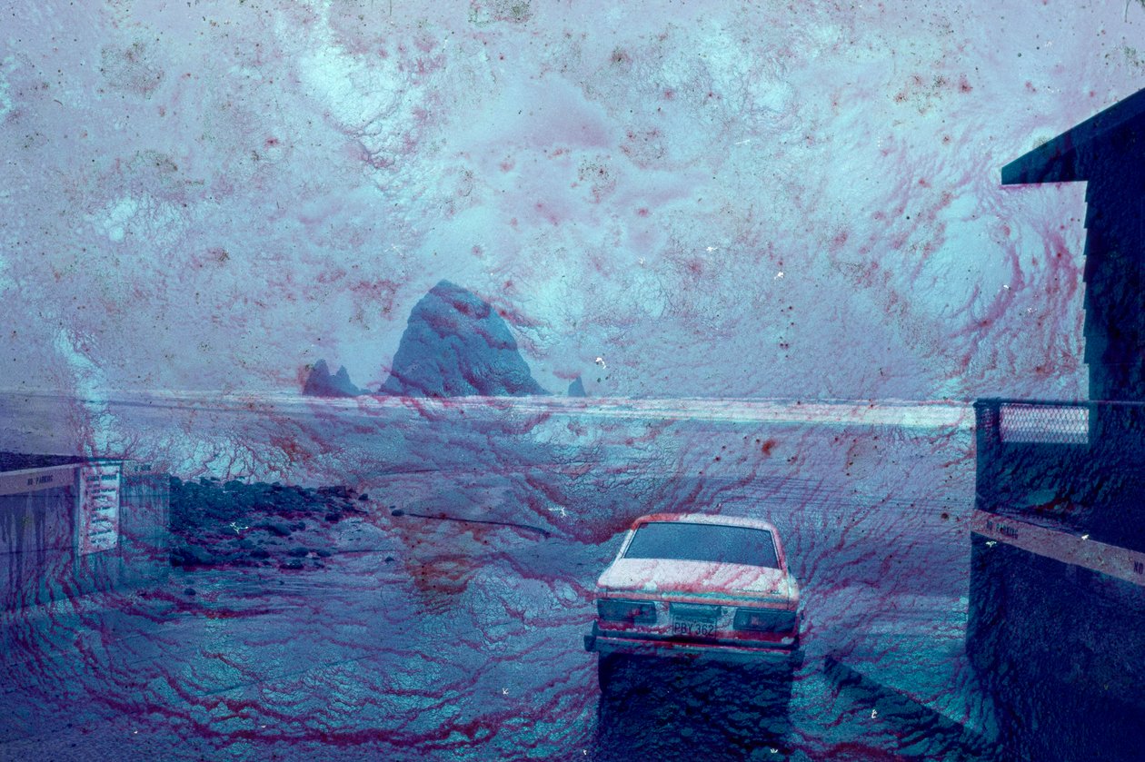  by Sisse Brimberg