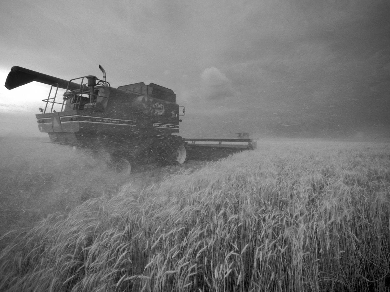 Amerika Birleşik Devletleri, Kansas: Kansas buğdayı yaz aylarında alacakaranlıkta hasat ediliyor, 2022 (fotoğraf) by Sisse Brimberg