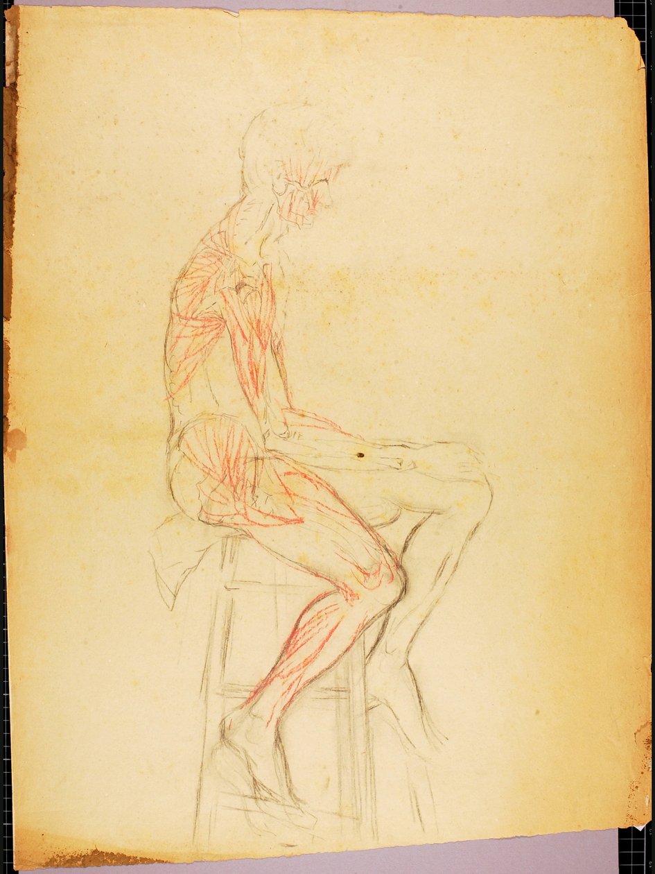 Çocuk by Solon H. Borglum