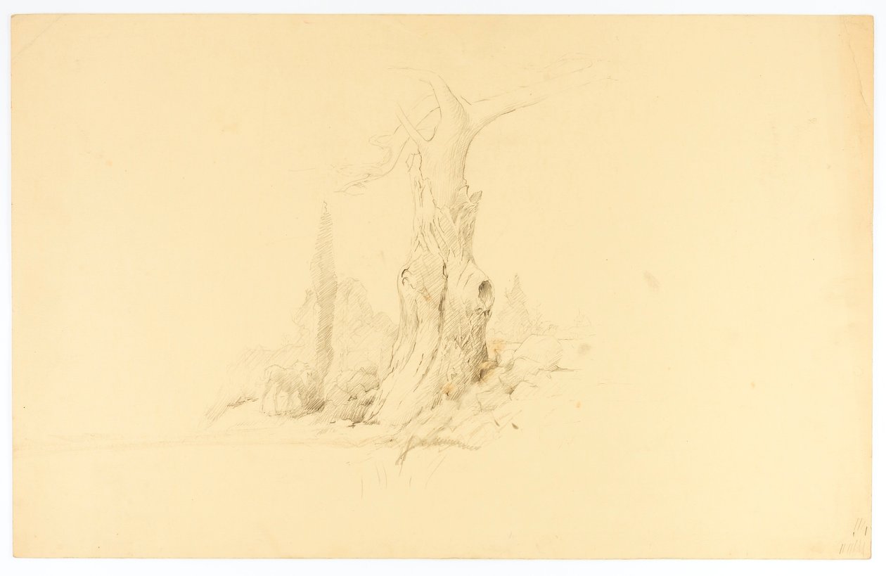  by Solon H. Borglum