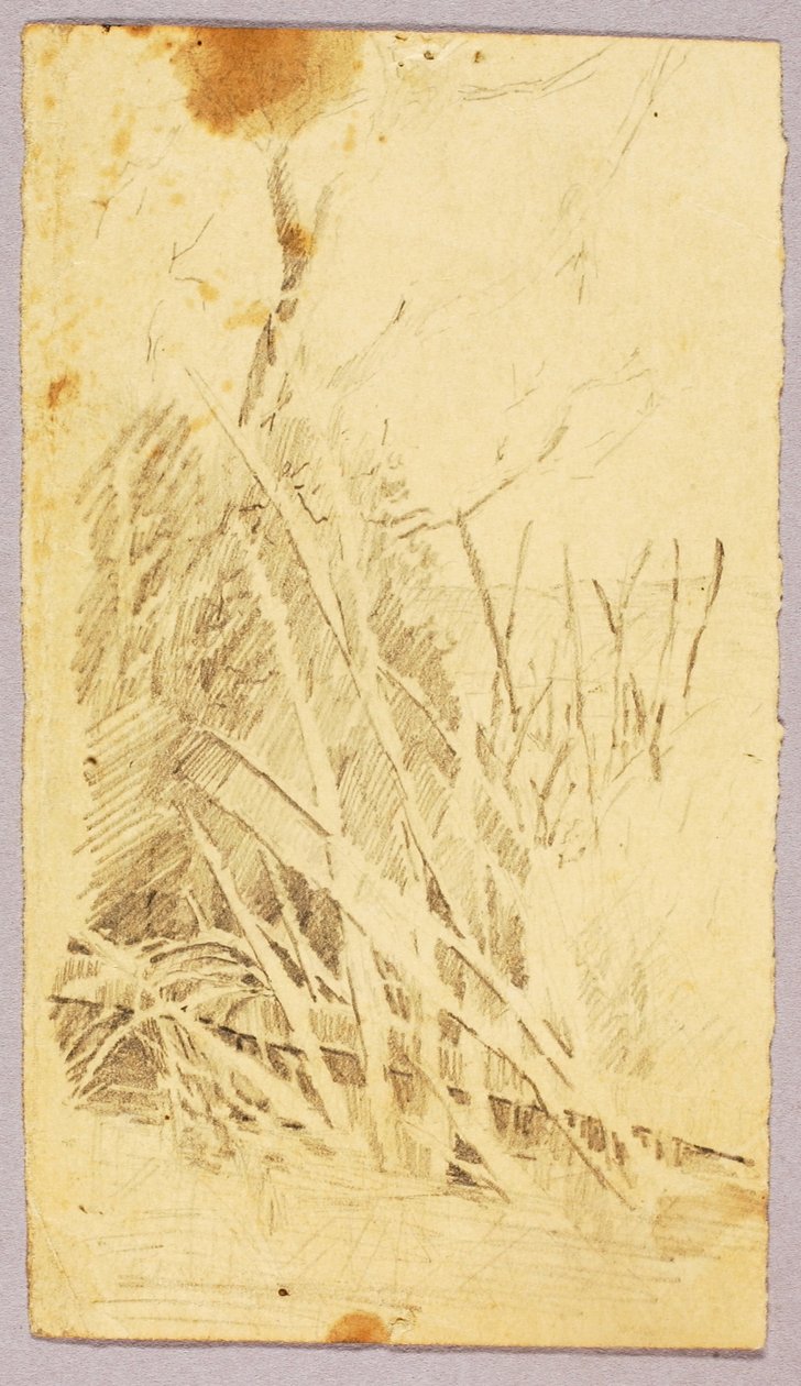  by Solon H. Borglum