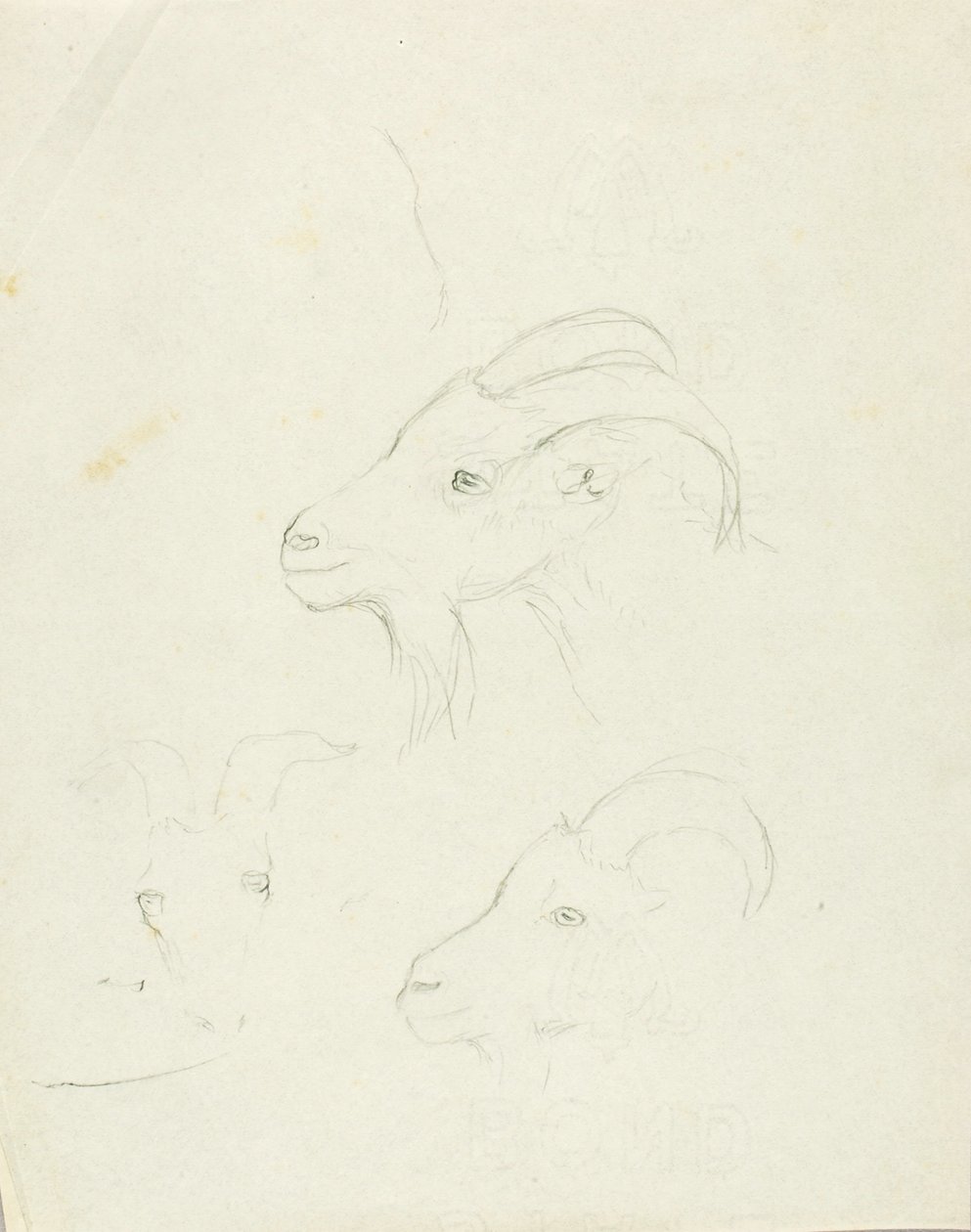 Keçiler by Solon H. Borglum